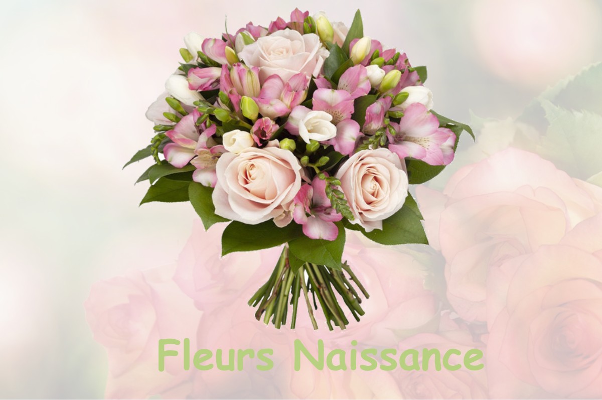 fleurs naissance ARANDON